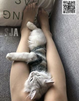 jufd-497风间由美在线_琪琪电影国产在线观看